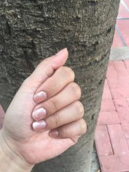 -Seven Nail七姑娘の美甲店