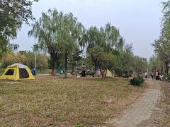 -绿堤公园