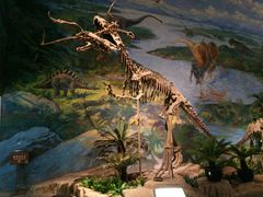 -自贡恐龙博物馆