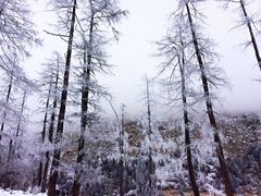 景点-毕棚沟景区