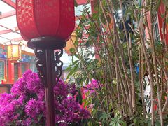 -万柳阁小馆·花园餐厅(龙潭湖店)