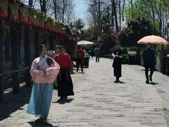 -合肥滨湖国家森林公园