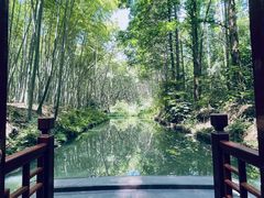 -同里国家湿地公园