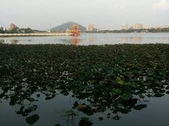 -龙虎塔