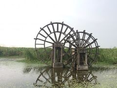 -宁波杭州湾国家湿地公园