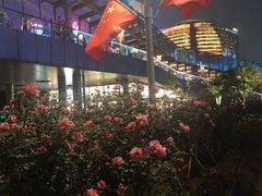 -钱江新城灯光秀