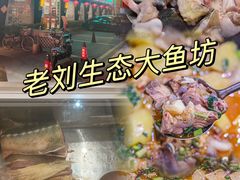 -老刘生态大鱼坊铁锅炖鱼(赛马场店)