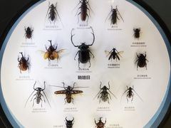 -舟山博物馆