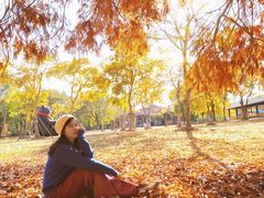 -上海海湾国家森林公园