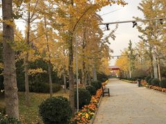 -南宫五洲植物乐园