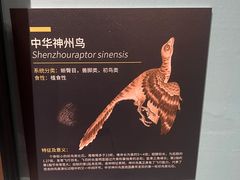 -重庆自然博物馆(新馆)