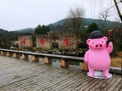 -香雪海