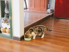 -参差咖啡(水果湖公园店)