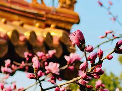 -颐和园