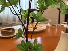 -国家五钻酒家·西樵旺阁渔村(西樵店)