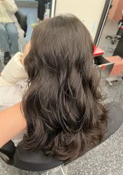 -IP SALON