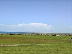 -青海湖国家重点风景名胜区