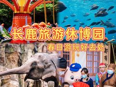 -长鹿旅游休博园