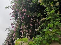 -荣昌花园