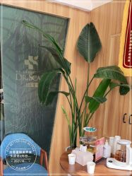 -丝客富脱发养发头皮馆