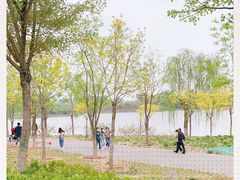 -东郊湿地公园