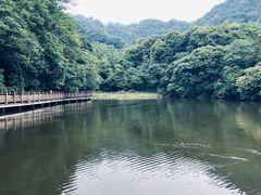 -青城山