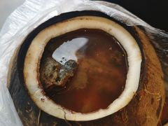 原只椰子炖竹丝鸡-達揚原味燉品(文明路店)