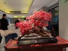-顺峰(农展馆店)