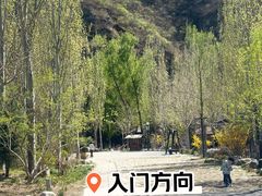 -幽岚山·童话森林