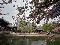 -元大都城垣遗址公园