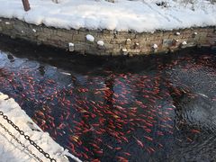 -水磨沟公园