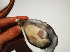 -Oyster Talks 四度蚝法餐厅