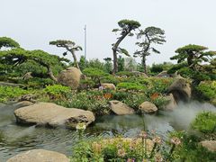 -罗红摄影艺术馆