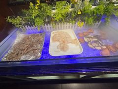-巴犀烧烤(新崇光店)