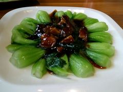 -曼妙午后(益泉百货店)