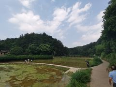 -韶山毛泽东同志故居