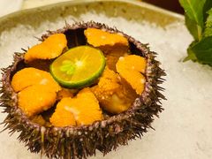 -国家五钻酒家·西樵旺阁渔村(西樵店)