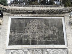 -花洲书院