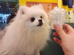 -星巴克臻选(上海合生汇1F店)