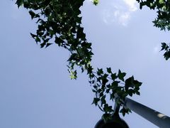 -荆川公园