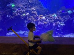 -华夏文旅海洋公园