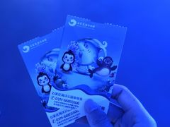 -石家庄海洋公园