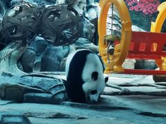 -武汉动物园