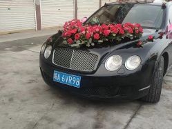 -蚂蚁婚车