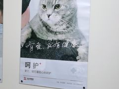 -艾贝尔宠物医院 ·内科全科(梁溪路店)