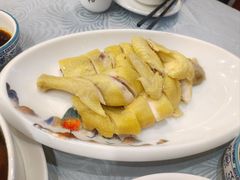 真味白切鸡-粤·向群饭店(龙津东路总店)