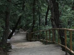 -北京上方山国家森林公园