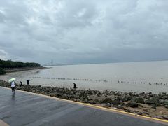 -深圳湾公园(南山区)