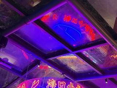 -海岛八号龙虾烧烤田鸡(蓝天路总店)