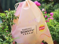 -济南喜来登酒店